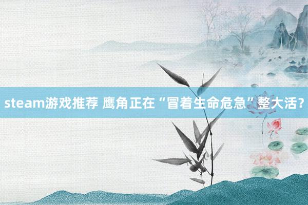 steam游戏推荐 鹰角正在“冒着生命危急”整大活？