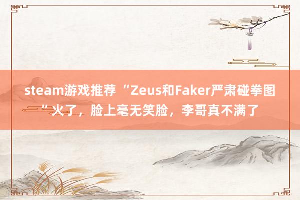 steam游戏推荐 “Zeus和Faker严肃碰拳图”火了，脸上毫无笑脸，李哥真不满了