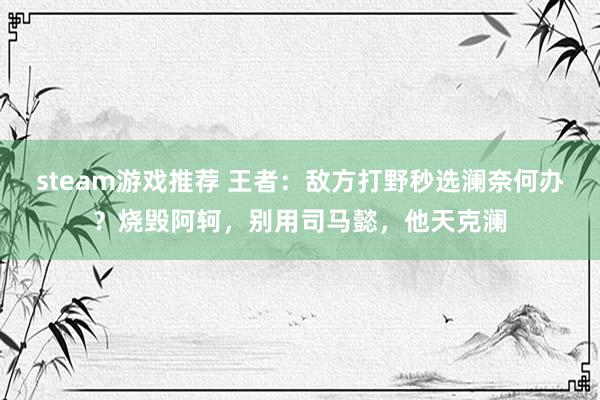 steam游戏推荐 王者：敌方打野秒选澜奈何办？烧毁阿轲，别用司马懿，他天克澜